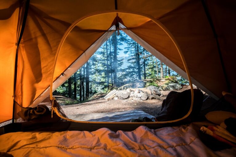 Caravan Park and Campsite Waste Management: Keeping Sites Clean for Every Guest