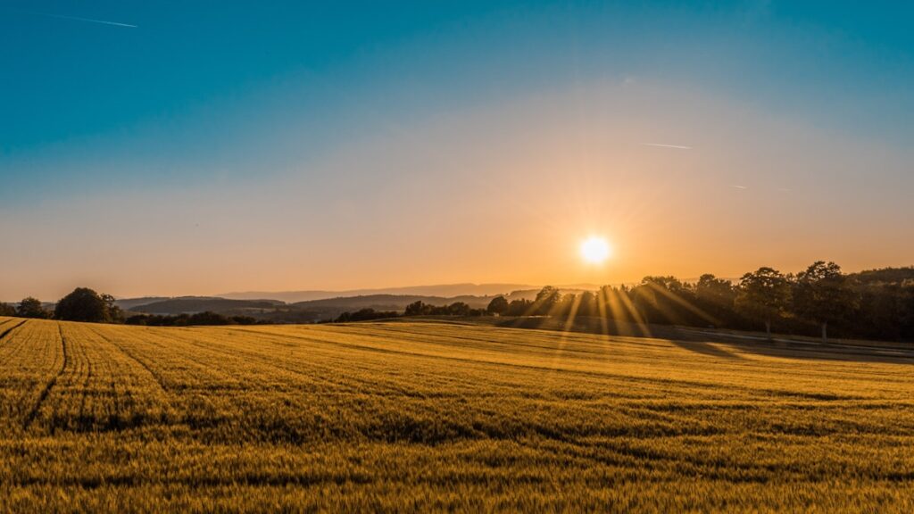 Farm and agricultural waste management in Manchester