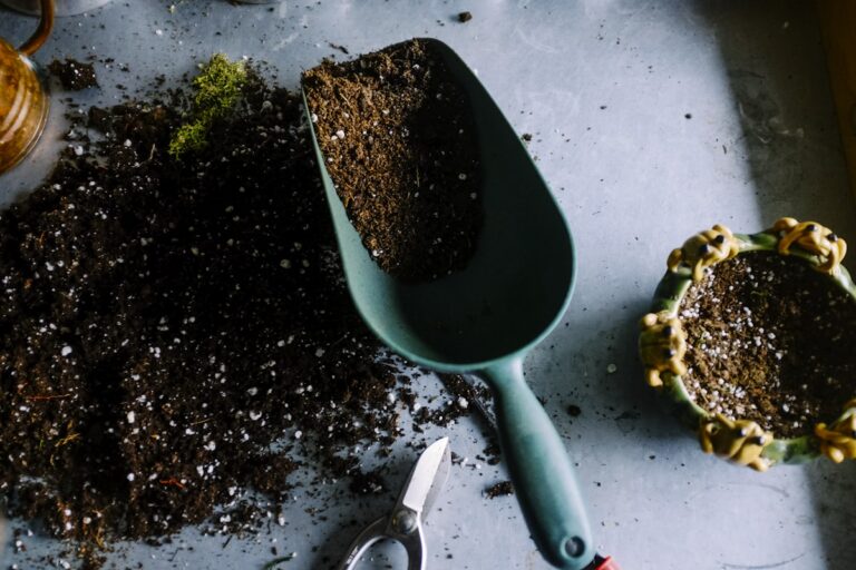 Garden Centre Waste Management: Green Solutions for Green Businesses